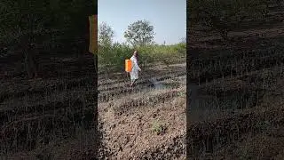 Weeds Control in Onion Farm #shortsvideo #shorts #viral