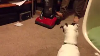 Vacuuming with Bob Barker