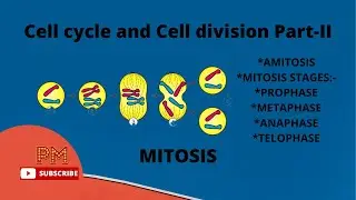 Mitosis | Part-II | Cell cycle and Cell division | PM Biology
