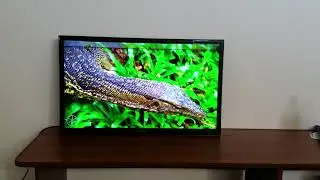 УЦЕНКА! Телевизор Telefunken 32 дюйма (8175)
