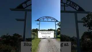Blueberry picking at Outback Farm - Pryor, Oklahoma