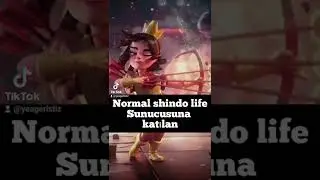 #shindolife #shindoliferoblox #yeageristshindo #shindolifedcsunucusu #shindolifescript