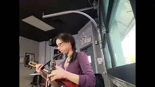 Transplant | Violin Loop | Original Song by Sarah Gorak