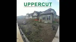 Uppercut Landscaping - 2000sqf of sod in a day