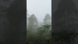 Neblina e Frio em Ouro Preto/MG #shorts