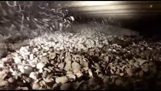 Bodemisolatie