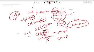 CEPAHLOSPORINS ||beta lactam ||pharmacology