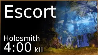 [SC] Escort 4:00 | Holo