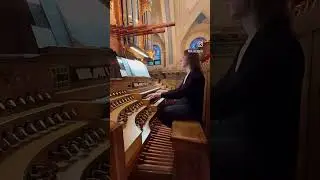 Dr. Kristina Rizzotto, organ