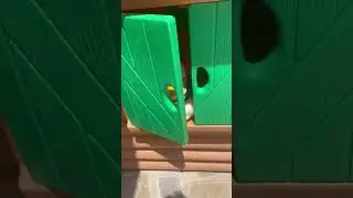 Paperino viene disturbato 😂❤️🦆