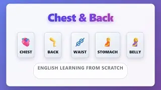 Chest Back Waist Stomach Belly | English Body Parts for Beginners