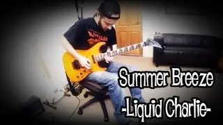 Summer Breeze - Liquid Charlie