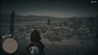 Red Dead Redemption 2 zoologist and skin deep