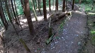 KtGL, Singletrail Glarus, Mulleren/Naturfreundehaus Mollis