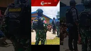 Maraknya Perang Antar Suku Di Papua #shorts #tnipolri #tnidipapua #brimobdipapua #polisi #tni