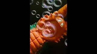 #shorts  Twin tail figure bgm hudram