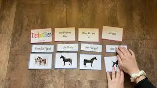 Tierfamilien-Bauernhoftiere