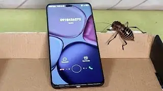 HONOR X9c + Ant 🐜 | Does the Ant Like the Incoming Call Sound?