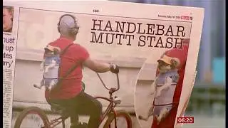 'Handlebar Mutt Stash' dog carried as backpack (fun story) (UK) - BBC News - 18th May 2020