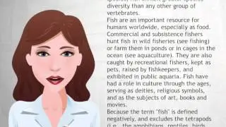 Fish - Wiki Videos