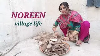 A Day with Noreen: My Village Chores & How I Manage It All - Noreen's Village Lifestyle