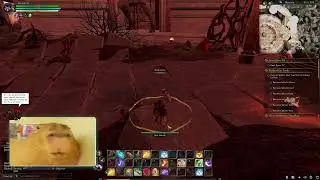 AoC Pergunte oq quiser │ !RECRUIT !EXITLAG - pt/br - ENG - spanish