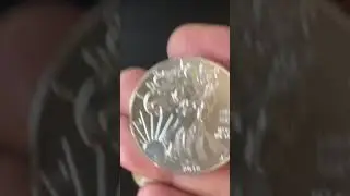FAKE SILVER COIN