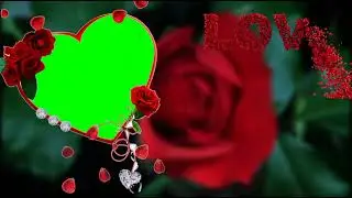 @Storybook-z8c  Love Green Screen Template Video