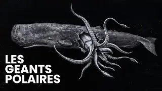 Pourquoi Les Cr&eacute;atures Des Abysses Deviennent De Plus En Plus Terrifiantes &Agrave; Mesure Que L&rsquo;on Descend