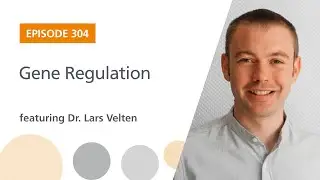 Gene Regulation featuring Dr. Lars Velten | The Stem Cell Podcast