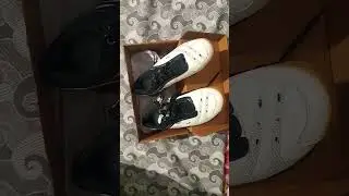 Non marking best sega shoes  under 1500