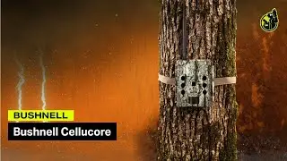 Trail Camera Commercial - &ldquo;CelluCore&rdquo; | Bushnell