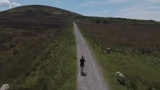 Black Hmbleton 10K Trail Run