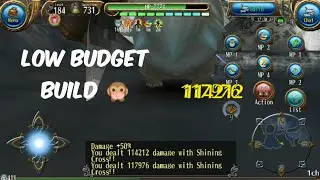 DUAL SWORD BUILD (LOW BUDGET)