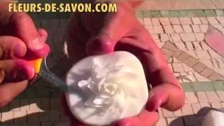Fleurs de Savon