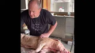 Spanferkel grillen