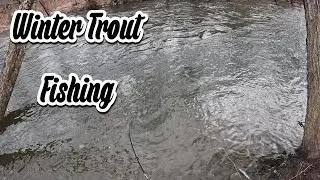 Winter Trout Fishing With Gulp Minnows
