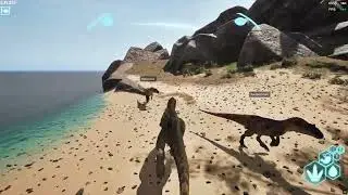 Prime Allo & pack meet a stego and then...
