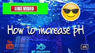 Tips for  increasing pH in your reef aquarium