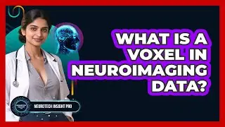 What Is A Voxel In Neuroimaging Data? - Neurotech Insight Pro