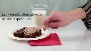 Karat Earth&reg; Wooden Utensils from LollicupStore.com| Alternative for Plastic Disposables!