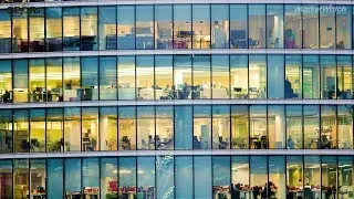 Here's how workplace diversity can help companies boost profits