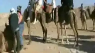 PWNED: Too Fat for Camel ride