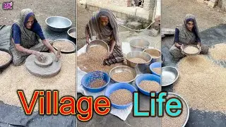 Homemade Chana Dal Process - Indian Village Style #homemade #village #diy