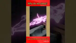 Why do we sleep?😱🤔#shorts #facts #factshorts