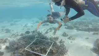 Corail et Climat Episode 4 - Comment expliquer l&rsquo;analyse des donn&eacute;es scientifiques ?