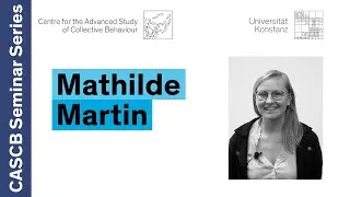 Mathilde Martin - Acoustic communication network in Cape fur seals