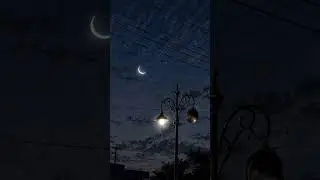 Hopelessly devoted to you ( tiktok sort version)