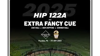 Extra Fancy Cue (Cue Hall x Bar Hopping) Lot 122A