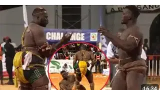 Alioune Seye 2 electrocute Queench d'un ko